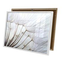 Quadro Flores Dente de Leão Branca e Suave Moldura e Vidro