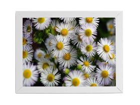 Quadro Flores Margaridas Brancas Moldura Branca 60X40Cm Quadro Flores Margaridas Brancas Moldura Branca 60X40Cm
