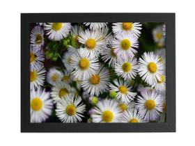Quadro Flores Margaridas Brancas Moldura Preta 60X40Cm Quadro Flores Margaridas Brancas Moldura Preta 60X40Cm