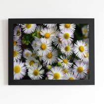 Quadro Flores Margaridas Brancas Moldura Preta 60x40cm Quadro Flores Margaridas Brancas Moldura Preta 60x40cm