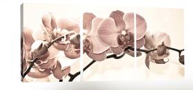 Quadro Flores Orquidea Marrom 70x150 trio Atelier Valverde