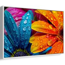 Quadro Flores Vibrantes Sob Gotas de Orvalho da Manhã Quadro Flores Vibrantes Sob Gotas de Orvalho da Manhã