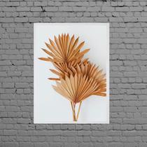 Quadro Folhas Leque Secas Marrom 24x18cm - com vidro Quadro Folhas Leque Secas Marrom 24x18cm - com vidro