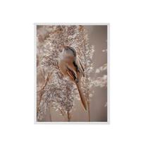 Quadro Foto Passarinho Fundo Nude Moldura Branca 33X24Cm