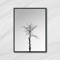 Quadro Fotografia Árvore Seca 33x24cm - com vidro
