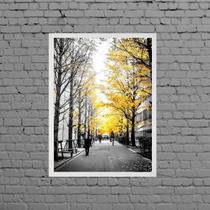 Quadro Fotografia Árvores Folhas Amarelas 45x34cm - com vidro