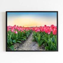 Quadro Fotografia Campo de Tulipas 33x24cm - com vidro