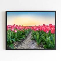 Quadro Fotografia Campo De Tulipas 33X24Cm - Moldura Preta