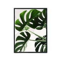 Quadro Fotografia Costela De Adão 33X24Cm - Moldura Preta