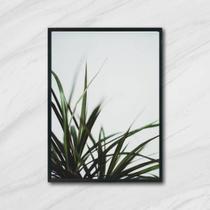 Quadro Fotografia de Capim 33x24cm - com vidro