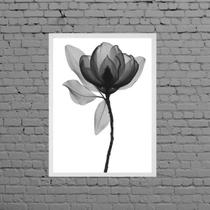 Quadro Fotografia De Flor Preto E Cinza 33x24cm Quadro Fotografia De Flor Preto E Cinza 33x24cm
