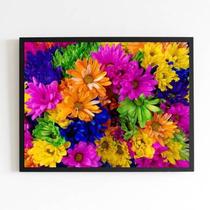 Quadro Fotografia de Flores Multicoloridas 24x18cm - com vidro