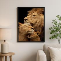 Quadro Fotografia Família De Leões Amorosos 33x24cm - com vidro Quadro Fotografia Família De Leões Amorosos 33x24cm - com vidro