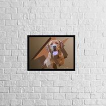 Quadro Fotografia Labrador 33x24cm - com vidro