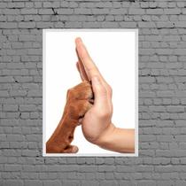 Quadro Fotografia Mão E Pata 24x18cm - com vidro