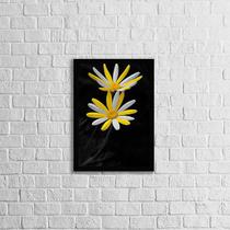 Quadro Fotografia Margarida Amarela e Branca 33x24cm - com vidro Quadro Fotografia Margarida Amarela e Branca 33x24cm - com vidro