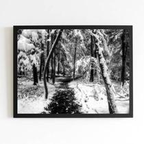 Quadro Fotografia Neve na Floresta 24x18cm