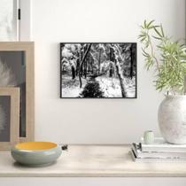 Quadro Fotografia Neve Na Floresta 33X24 Com Vidro - Preta