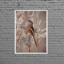 Quadro Fotografia Passarinho Fundo Nude 33x24cm
