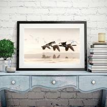 Quadro Fotografia Patos Voando - 60x48cm Quadro Fotografia Patos Voando - 60x48cm