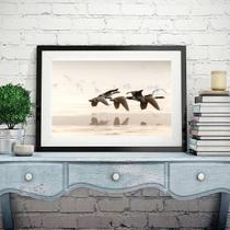 Quadro Fotografia Patos Voando - 60X48Cm