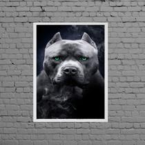 Quadro Fotografia Pitbull Olhos Verdes 45x34cm - com vidro