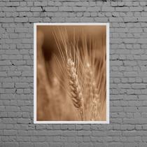 Quadro Fotografia Ramo De Trigo 33x24cm