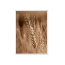 Quadro Fotografia Ramo De Trigo Moldura Branca 24X18Cm