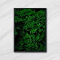 Quadro Fotografia Samambaias 24X18Cm Quadro Fotografia Samambaias 24X18Cm