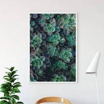 Quadro Fotografia Suculentas 24X18Cm - Com Vidro Quadro Fotografia Suculentas 24X18Cm - Com Vidro