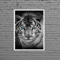 Quadro Fotografia Tigre Olho Azul 24x18cm - com vidro