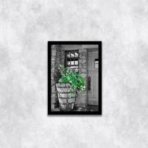 Quadro Fotografia Vaso com Plantas 24x18cm - Quadros On-line