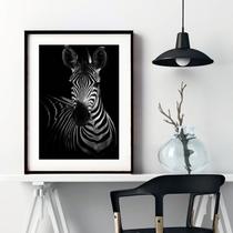 Quadro Fotografia Zebra - 60x48cm