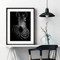 Quadro Fotografia Zebra - 60X48Cm