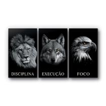 Quadro Frases Animais Disciplina Execução Foco Kit 110X60Cm