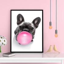 Quadro French Bulldog Bubble Gum 24X18Cm - Com Vidro