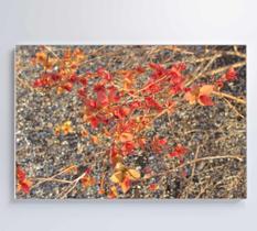 Quadro Galhos e Flores Quadro Galhos e Flores