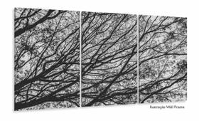 Quadro Galhos Secos Caindo em Preto e Branco Jogo 3 Peças
