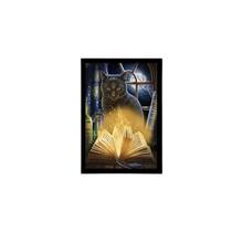 Quadro Gato Bruxo Livro 33X24Cm - Vidro Moldura Preta Quadro Gato Bruxo Livro 33X24Cm - Vidro Moldura Preta