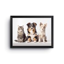 Quadro Gato E Cachorros Pets Animais Moldura Preta 30X40Cm