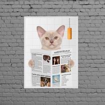 Quadro Gato No Banheiro Com Jornal 24x18cm - com vidro
