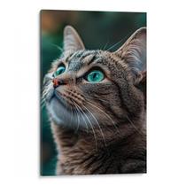 Quadro Gato Sereno dos Olhos Verde Esmeralda