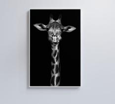 Quadro girafa preto e branco Quadro girafa preto e branco