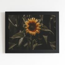 Quadro Girassol Flor Fotografia Moldura Preta 60x40cm Quadro Girassol Flor Fotografia Moldura Preta 60x40cm
