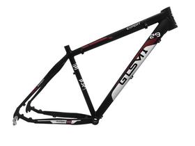Quadro Gtsm1 Expert 2.0 New 29