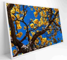 Quadro Ipê Amarelo em Árvore do Cerrado Quadro Ipê Amarelo em Árvore do Cerrado