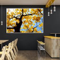 Quadro Ipe Amarelo