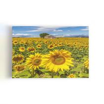 Quadro Jardim de Girassóis Paisagem Casa Canvas 60x40cm Quadro Jardim de Girassóis Paisagem Casa Canvas 60x40cm