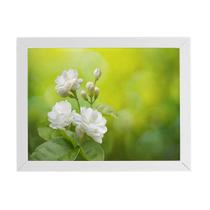 Quadro Jasmim-Árabe Flor Branca Moldura Branca 60X40Cm