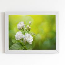 Quadro Jasmim-árabe Flor Branca Moldura Branca 60x40cm